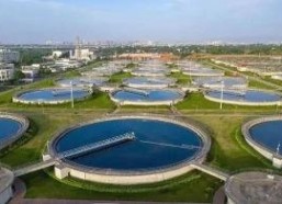 91国产露脸,揭秘国产影视明星的真实风采