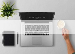 国产轻轻草,绿色生态的守护者与生活美学的新宠